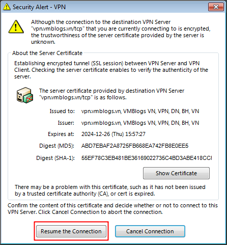 SoftEther-Client-Config-9