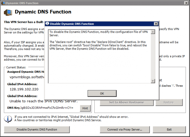 SoftEther-Manager-13-DynamicDNS